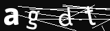 verifycode